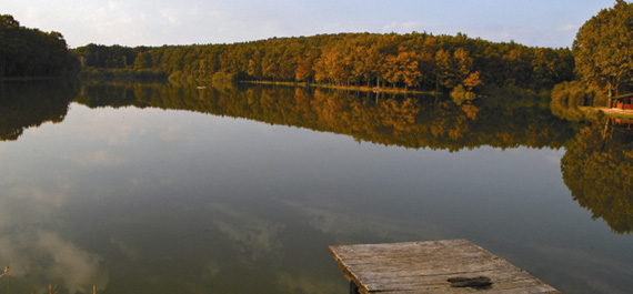 Bukovniško jezero