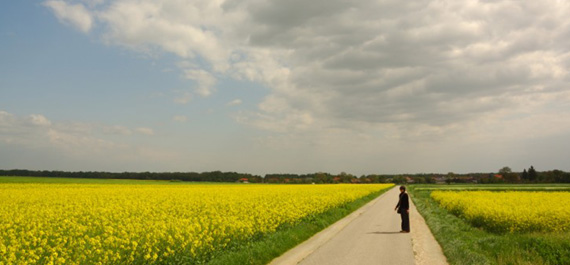 Moravske Toplice